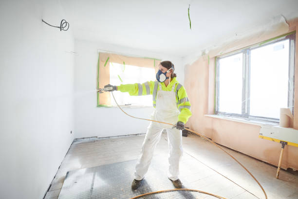  Dunkirk, MD Mold Removal Pros