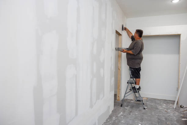 Mold Documentation for Insurance Claims in Dunkirk, MD