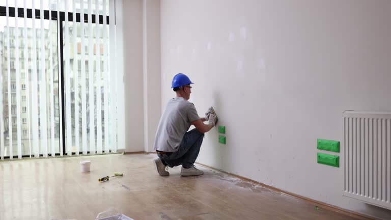 Professional Mold Removal in Dunkirk, MD